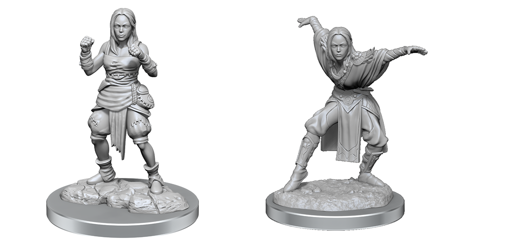 Half-Elf Monk, Female. Fists & Crane Style - Nolzur