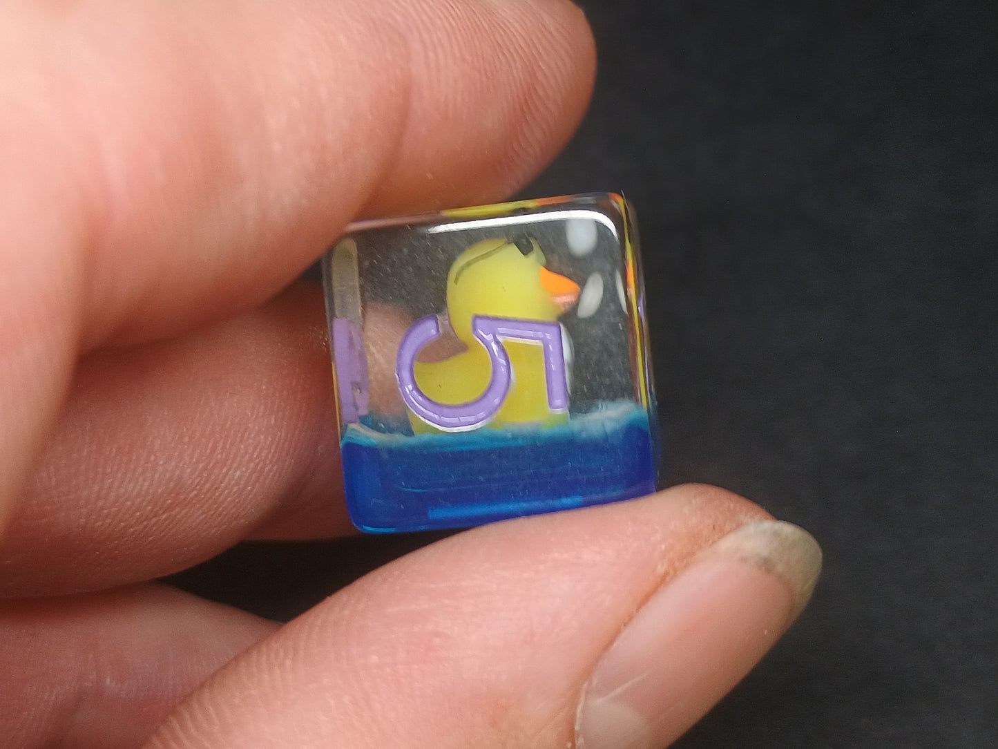Cool Duck Nucleus polydice set