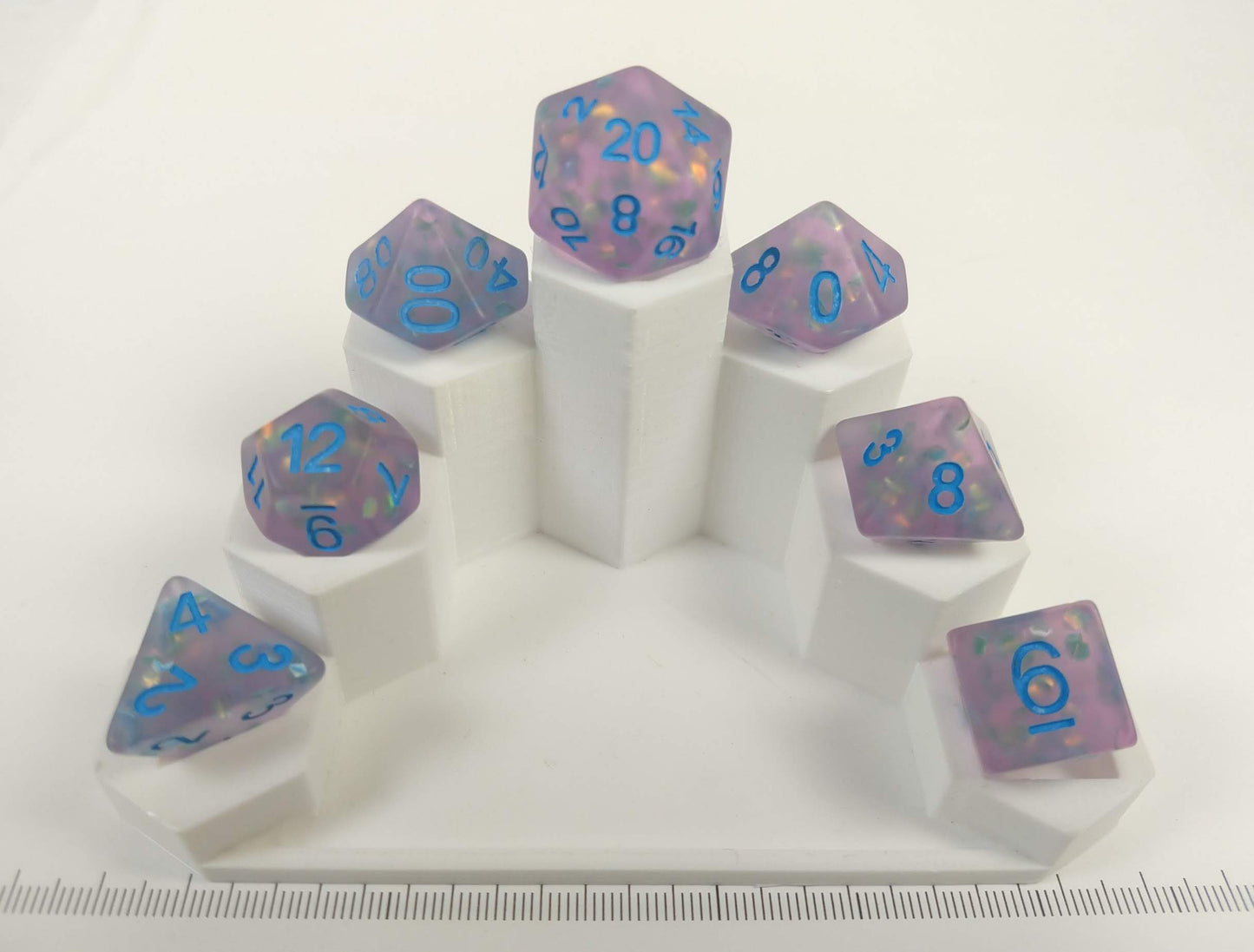 Coastal Aster polydice set