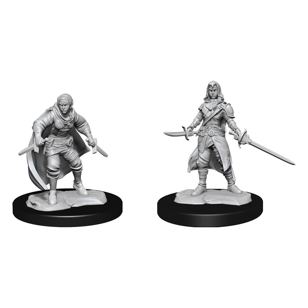 Half-Elf Rogue protogé - Nolzur