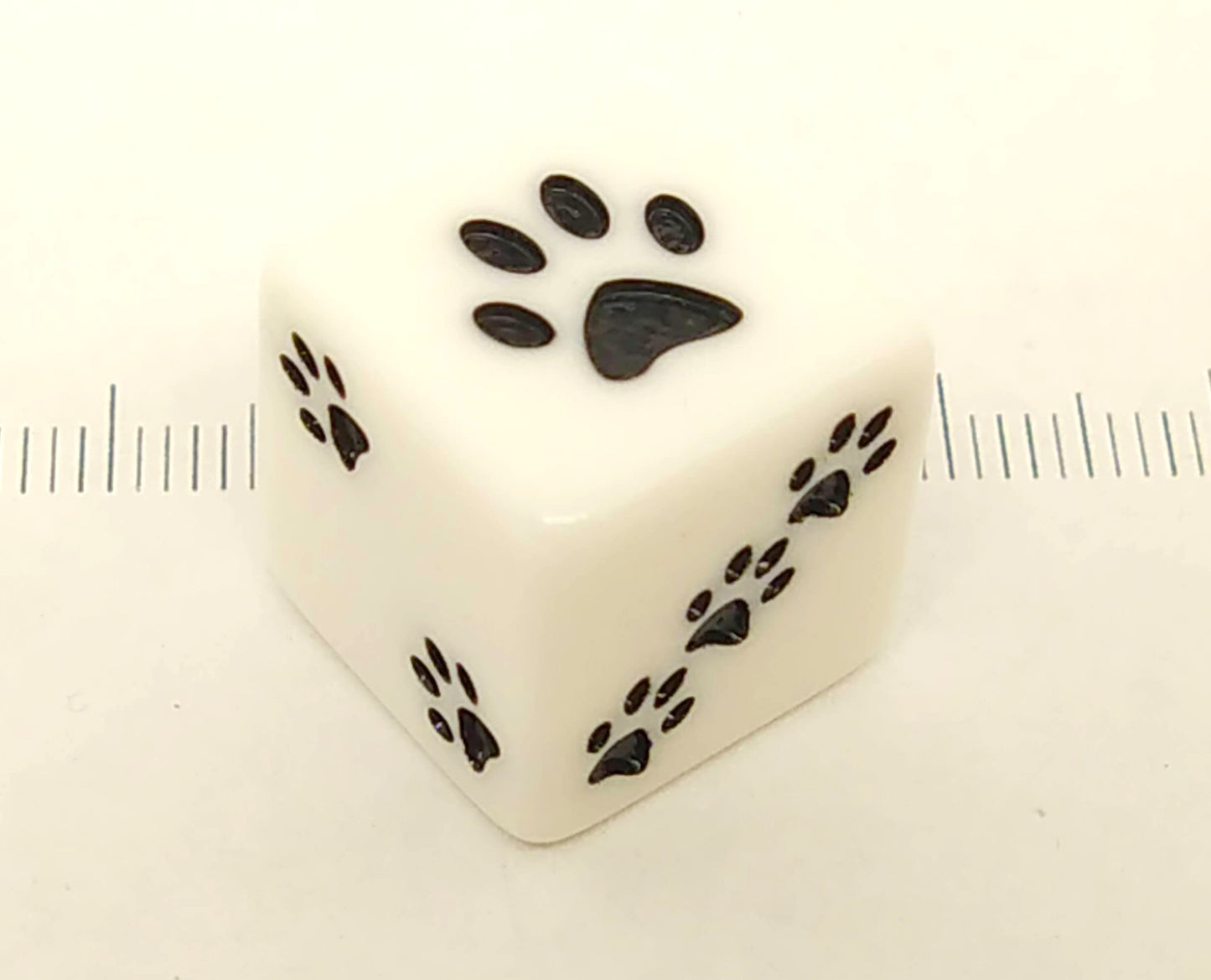 6-sided white with cat paws