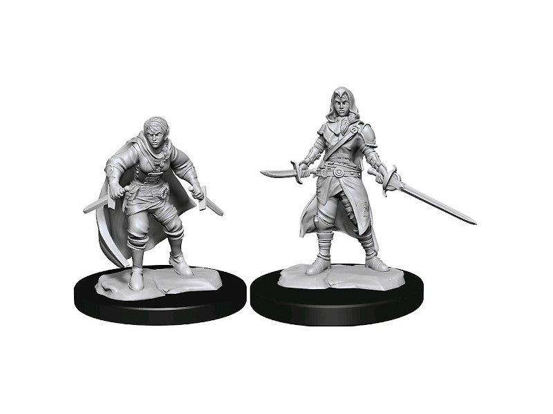 Half-Elf Rogue, Female. Cloak & Dagger - Nolzurs
